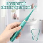 Electric Tooth Cleaning Instrument – Teeth Cleaner, Portable Ultrasonic Teeth Cleaner, Electric Teeth Cleaner Kit for Travel or Household, Adjusted in 4 Levels 5 Modes (C-Green)
